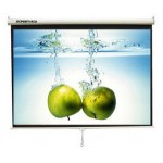 Screen view MWSSV3030L MANUAL WALL SCREEN